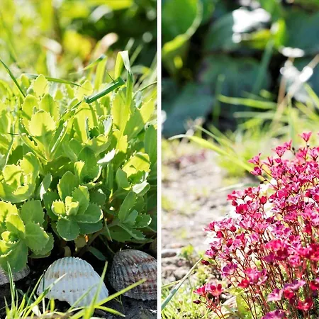 G219-lemvig-skovstjernevej-19 *