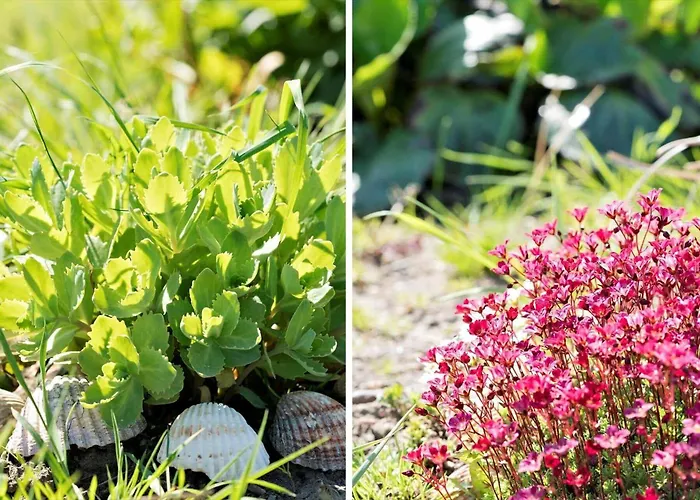 G219-lemvig-skovstjernevej-19 *